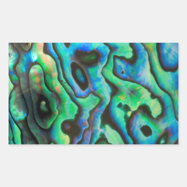 Pegatina Rectangular Concha de abulón paua azul verde (Anverso)