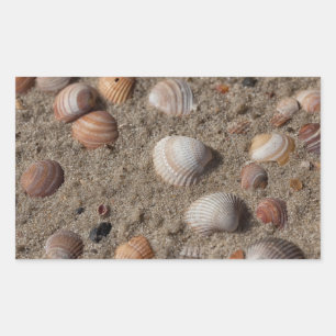 Pegatina Rectangular conchas marinas en la playa