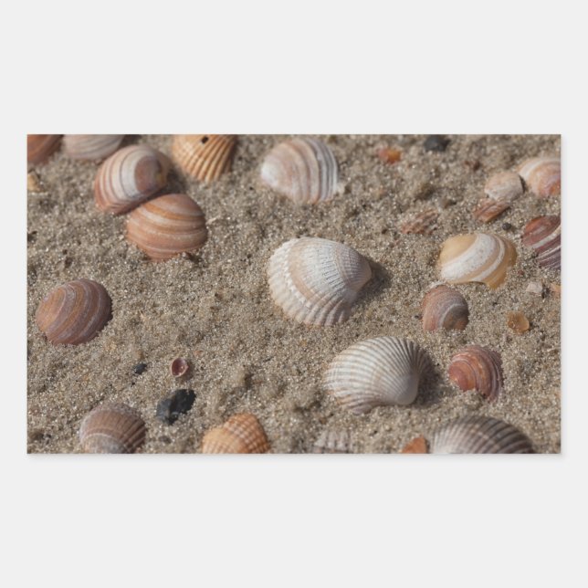Pegatina Rectangular conchas marinas en la playa (Anverso)