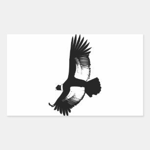 Pegatina Rectangular Cóndor andino volador