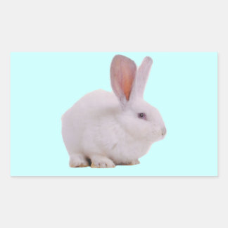 Pegatina Rectangular Conejo Kawaii Lindo