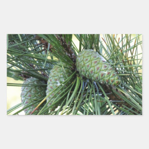 Pegatina Rectangular Cones Pine de vacaciones