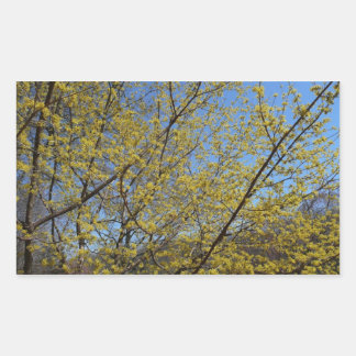 Pegatina Rectangular Cornelian Cherry Dogwood y Blue Sky Floral