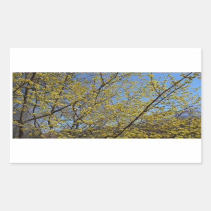Pegatina Rectangular Cornelian Cherry Dogwood y Blue Sky Floral