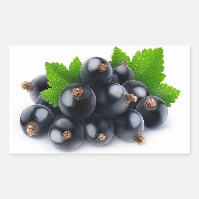Pegatina Rectangular Correas negras (Anverso)