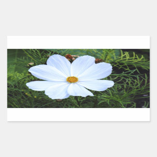 Pegatina Rectangular Cosmos blancos