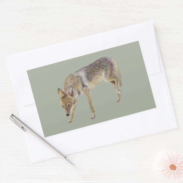 Pegatina Rectangular Coyote (Sobre)