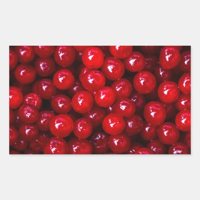 Pegatina Rectangular Cranberries (Anverso)