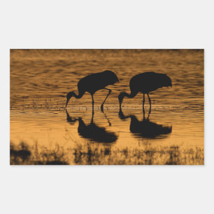Pegatina Rectangular Cranes Silhouetted by the Sunset
