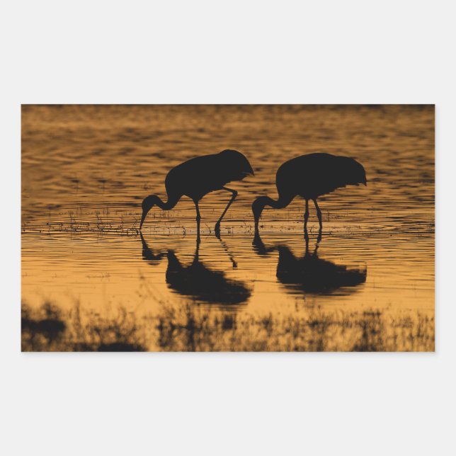 Pegatina Rectangular Cranes Silhouetted by the Sunset (Anverso)
