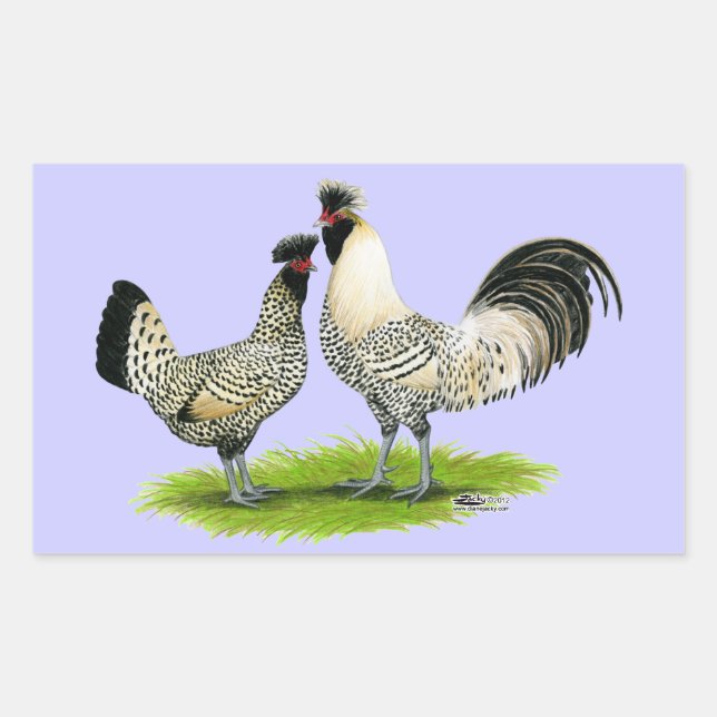 Pegatina Rectangular Cream Brabanter Chickens (Anverso)