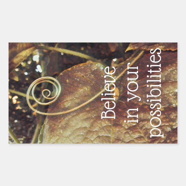 Pegatina Rectangular Cree en sus posibilidades Pegatinas (Anverso)