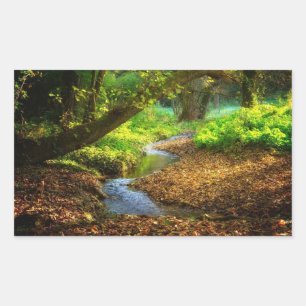 Pegatina Rectangular Creek forestal Hermoso paisaje natural Foto