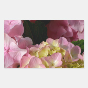 Pegatina Rectangular Crema rosa Hydrangeas amarillo rosa verde floral