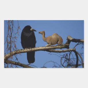 Pegatina Rectangular Crow sorprendido