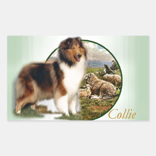 Pegatina Rectangular Cuidador de collie rudo de la oveja