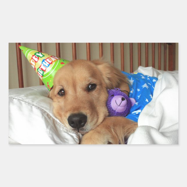 Pegatina Rectangular Cumpleaños de Golden Retriever (Anverso)