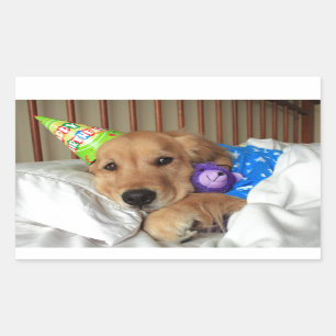 Pegatina Rectangular Cumpleaños de Golden Retriever