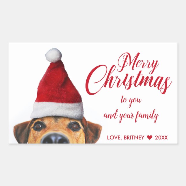 Pegatina Rectangular Curioso perro gracioso con Santa Hat (Anverso)