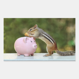 Pegatina Rectangular Cute Chipmunk con divertida foto de un banco de di