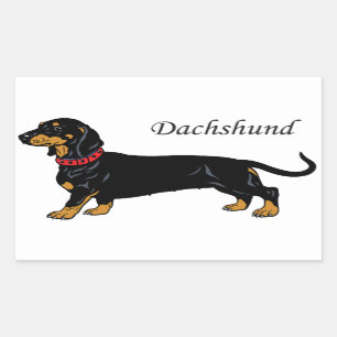 Pegatina Rectangular dachshund negro