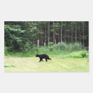 Pegatina Rectangular Dads Black Bear