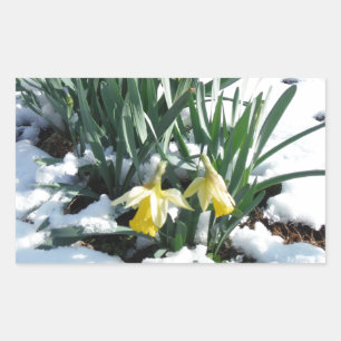 Pegatina Rectangular Dafpies amarillos en la nieve