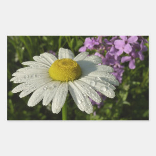 Pegatina Rectangular Daisy and Summer Lilac Wildflower