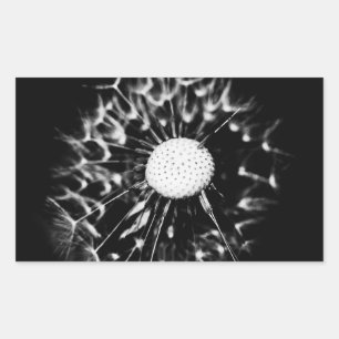 Pegatina Rectangular dandelion blacq