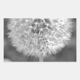 Pegatina Rectangular Dandelion se fue a la semilla