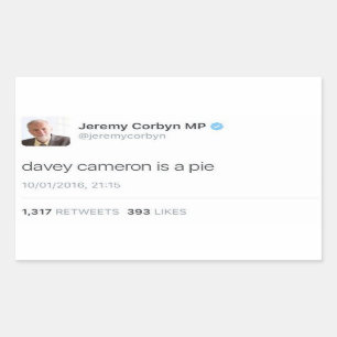 Pegatina Rectangular Davey Cameron es una empanada