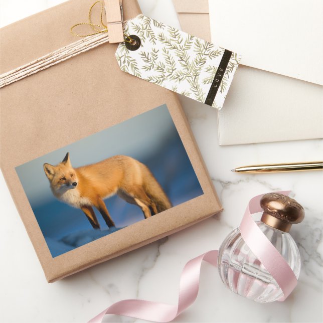 Pegatina rectangular de Fox Brown (Regalar)