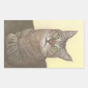 Pegatina rectangular de gato abisón