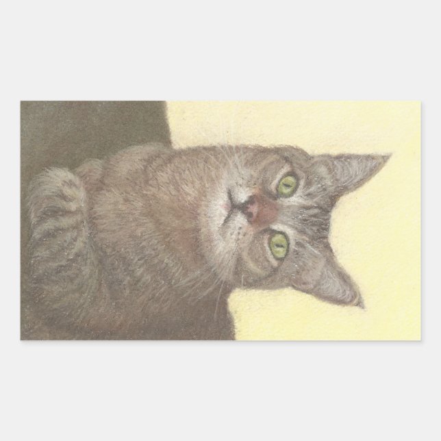 Pegatina rectangular de gato abisón (Anverso)