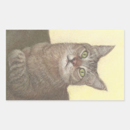 Pegatina rectangular de gato abisón