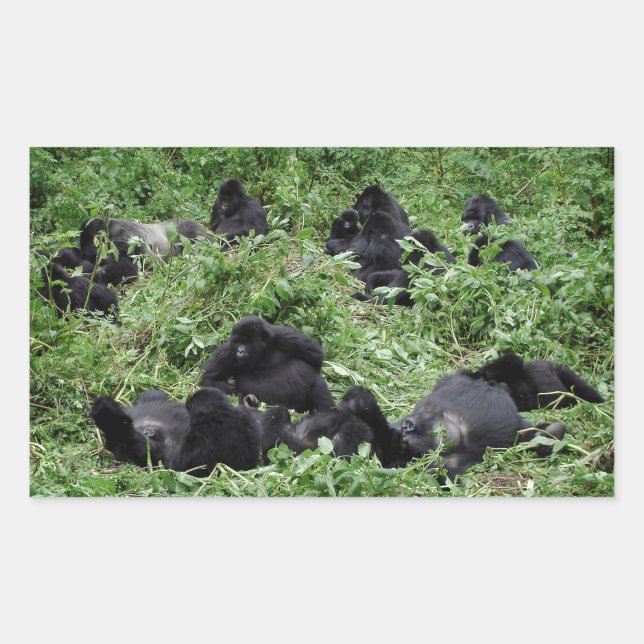 Pegatina rectangular de grupo gorila de montaña (Anverso)