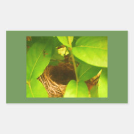 Pegatina rectangular de Hummingbird Nest