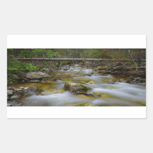 Pegatina rectangular de la cala rocosa del bosque