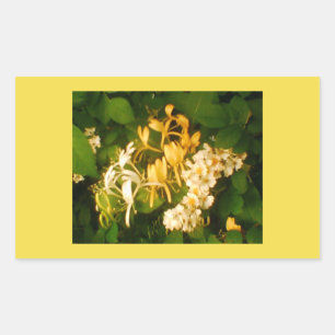 Pegatina rectangular de primavera Rosa silvestre