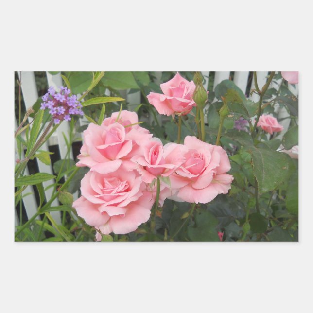 Pegatina rectangular de rosas rosadas (Anverso)