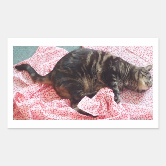 Pegatina rectangular de Tailor Dave (Anverso)