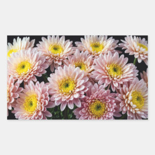 Pegatina Rectangular Decoración de flores de crisantemo colorido