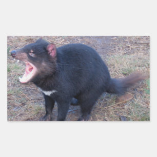 Pegatina Rectangular Demonio de Tasmania - Pegatinas