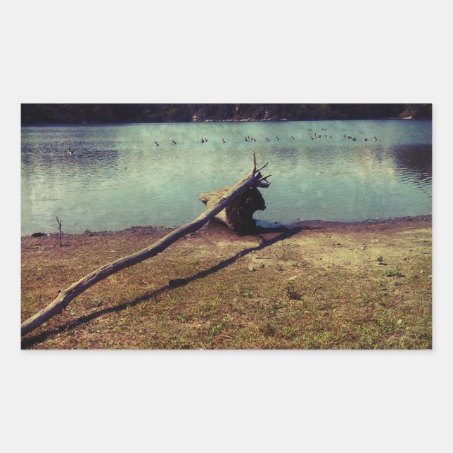 Pegatina Rectangular Derivación (Anverso)