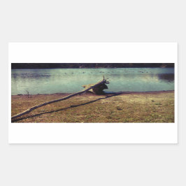 Pegatina Rectangular Derivación