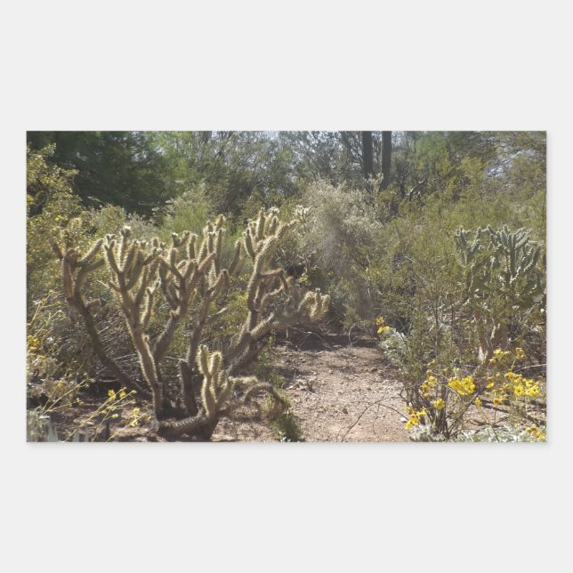 Pegatina Rectangular Desierto (Anverso)