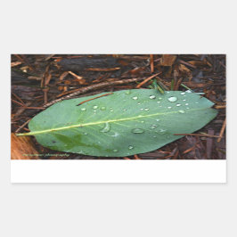 Pegatina Rectangular Dew Dappling Leaf