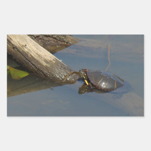 Pegatina Rectangular Día libre de la tortuga