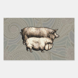 Pegatina Rectangular Dibujo de cerdos antiguos
