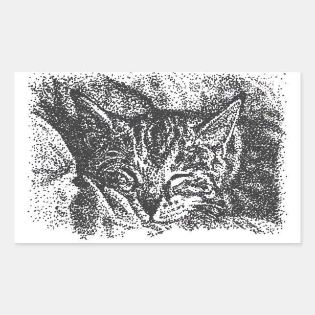 Pegatina Rectangular Dibujo de gatos de duración corta (Anverso)
